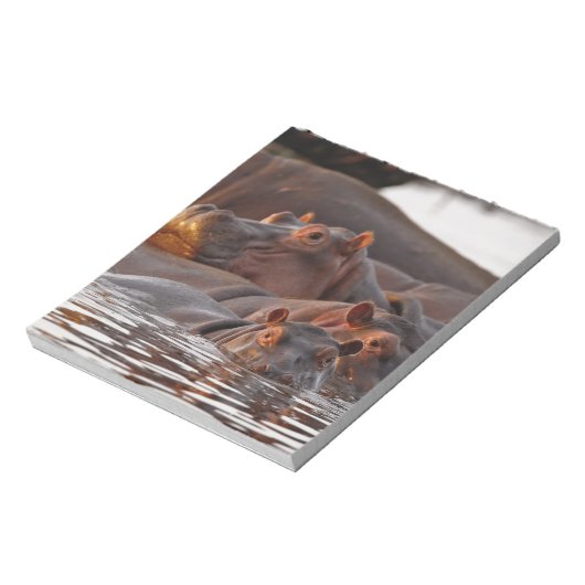 Hippopotamus, Hippopotamus amphibius, See Notizblock (Rotiert)