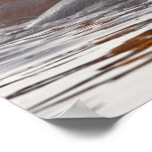 Hippopotamus, Hippopotamus amphibius, See Poster (Ecke)