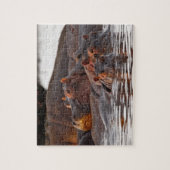 Hippopotamus, Hippopotamus amphibius, See Puzzle (Vertikal)