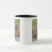 Hippopotamus, Hippopotamus amphibius, Serengeti Tasse (Zentrum)