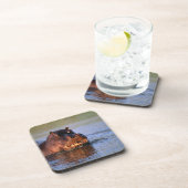 Hippopotamus im Fluss Untersetzer (Rechte Seite)