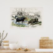 Hippopotamus, Indische Rhinozeros, Muchoco... Poster (Küche)