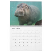 Hippopotamus-Kalender, Hippopotamus Kalender (Mär 2027)