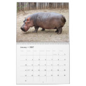 Hippopotamus-Kalender, Hippopotamus Kalender (Jan 2027)