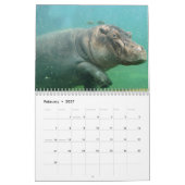 Hippopotamus-Kalender, Hippopotamus Kalender (Feb 2027)