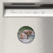 Hippopotamus Magnet (In Situ (Geschirrspüler))