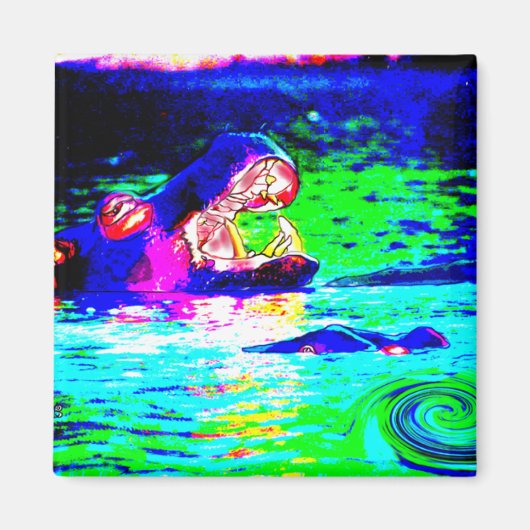 Hippopotamus Magnet (Vorne)