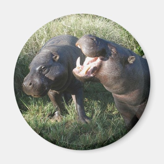 Hippopotamus Magnet (Vorne)