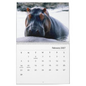 Hippopotamus-Mauerkalender Kalender (Feb 2027)