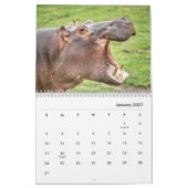 Hippopotamus-Mauerkalender Kalender (Jan 2027)