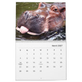 Hippopotamus-Mauerkalender Kalender (Mär 2027)
