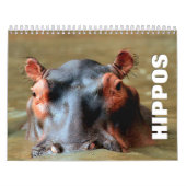 Hippopotamus-Mauerkalender Kalender (Titelbild)
