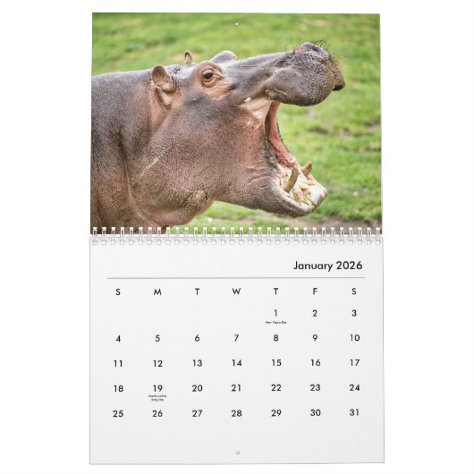 Hippopotamus-Mauerkalender Kalender (Jan 2026)