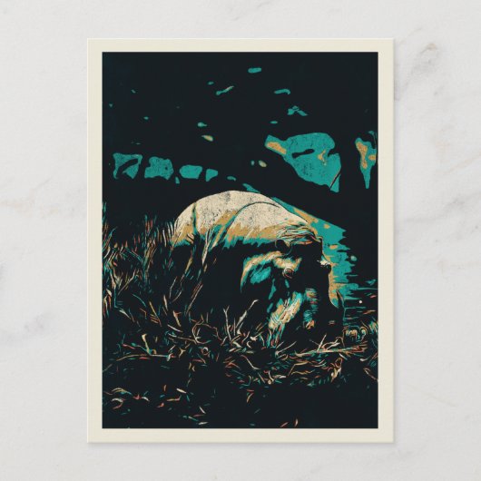 Hippopotamus, nah zu einem Fluss, Hippo Postkarte (Vorderseite)