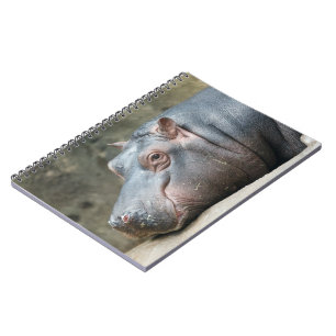 Hippopotamus-Notebook Notizblock
