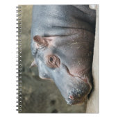 Hippopotamus-Notebook Notizblock (Vorderseite)