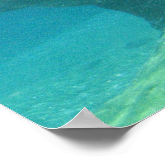 Hippopotamus Poster (Ecke)