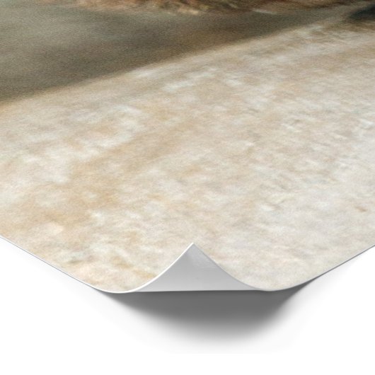 Hippopotamus-Poster Poster (Ecke)