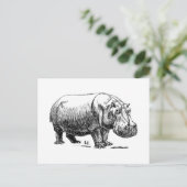 Hippopotamus Postkarte (Stehend Vorderseite)