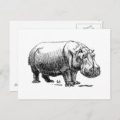 Hippopotamus Postkarte (Vorne/Hinten)