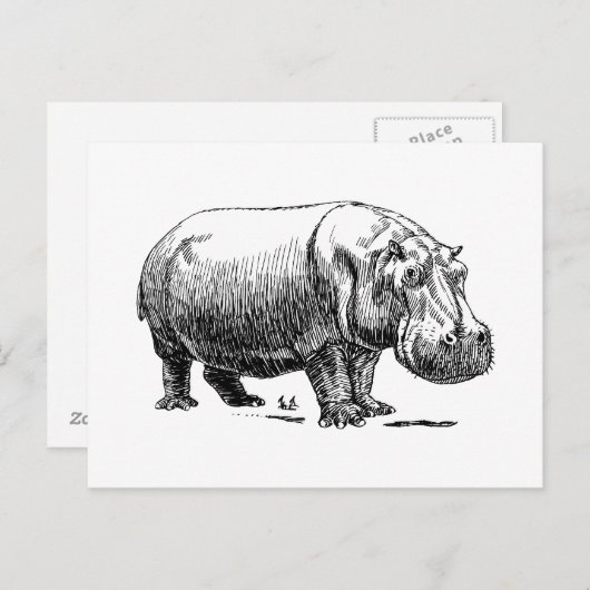Hippopotamus Postkarte (Vorne/Hinten)
