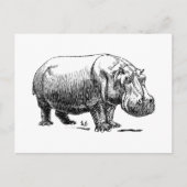 Hippopotamus Postkarte (Vorderseite)