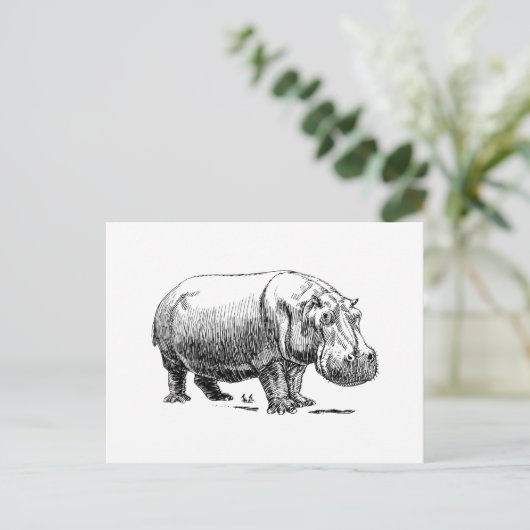 Hippopotamus Postkarte (Stehend Vorderseite)
