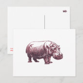 Hippopotamus Postkarte (Vorne/Hinten)