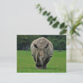 Hippopotamus-Postkarte Postkarte (Stehend Vorderseite)