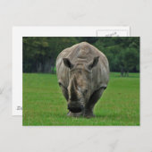 Hippopotamus-Postkarte Postkarte (Vorne/Hinten)