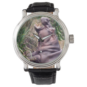 Hippopotamus versuchen zu klettern, armbanduhr