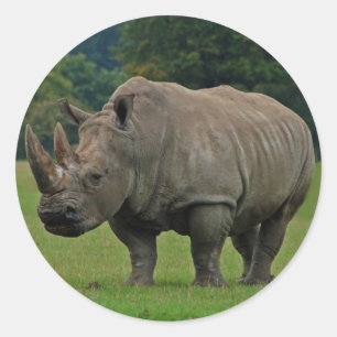 Hippopotamusaufkleber Runder Aufkleber