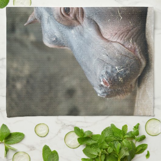 Hippopotamushandtücher Handtuch (Gefaltet)