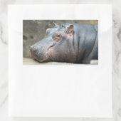 Hippopotamuskleber Rechteckiger Aufkleber (Tasche)