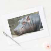 Hippopotamuskleber Rechteckiger Aufkleber (Umschlag)