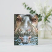 Hippopotamusse und Baby Postkarte (Stehend Vorderseite)
