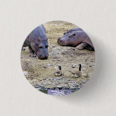 HIPPOS BUTTON (Vorderseite)