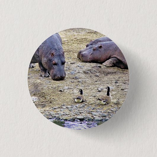 HIPPOS BUTTON (Vorderseite)