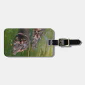 Hippos, die in einem Teich schwimmen, Gepäckanhänger (Vorderseite horizontal)