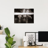 Hippos, die sich im Wasser in Schwarz und Weiß bef Poster (Heimbüro)