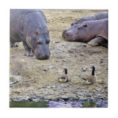 HIPPOS FLIESE (Vorderseite)