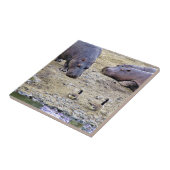 HIPPOS FLIESE (Seite)