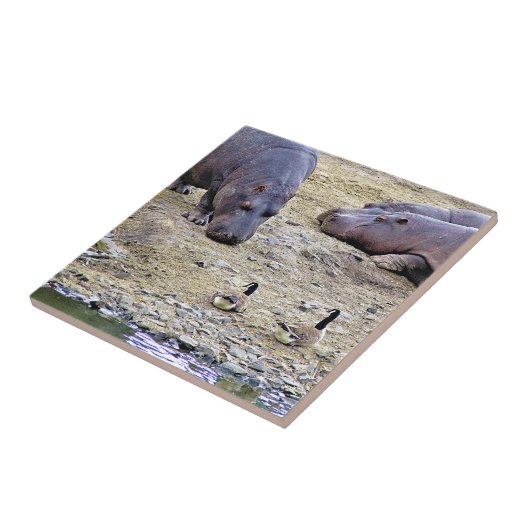 HIPPOS FLIESE (Seite)