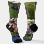 Hippos in einem Teich, Crew Socken (Gewinkelt)