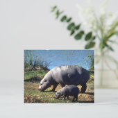 Hippos-Kuh mit kleinen Kalbfleisch Postkarte (Stehend Vorderseite)