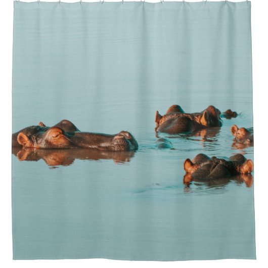 HIPPOS KÜHLEN IM DAM AB DUSCHVORHANG (Vorderseite)