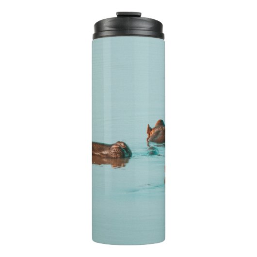 HIPPOS KÜHLEN IM DAM AB THERMOSBECHER (Vorderseite)