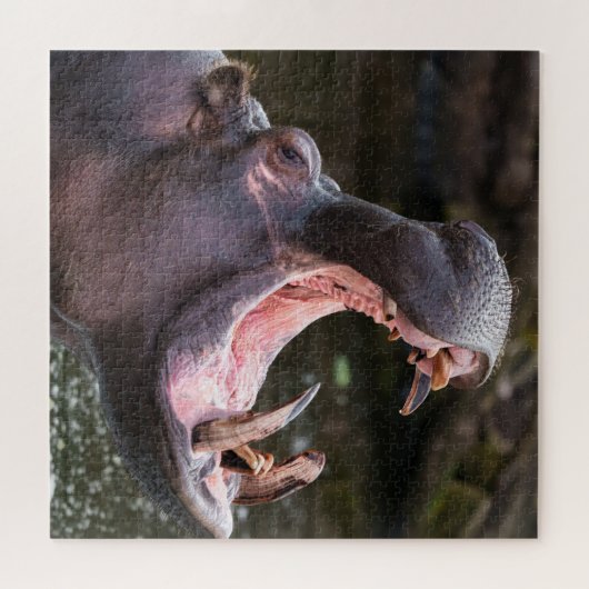 Hippo's Massive Jaws Puzzle (Horizontal)