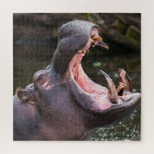 Hippo's Massive Jaws Puzzle