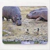HIPPOS MOUSEPAD (Vorne)